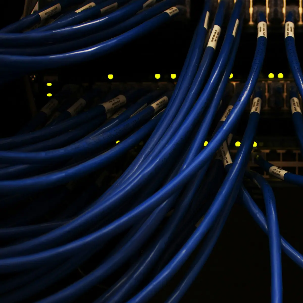 Photo of server cables