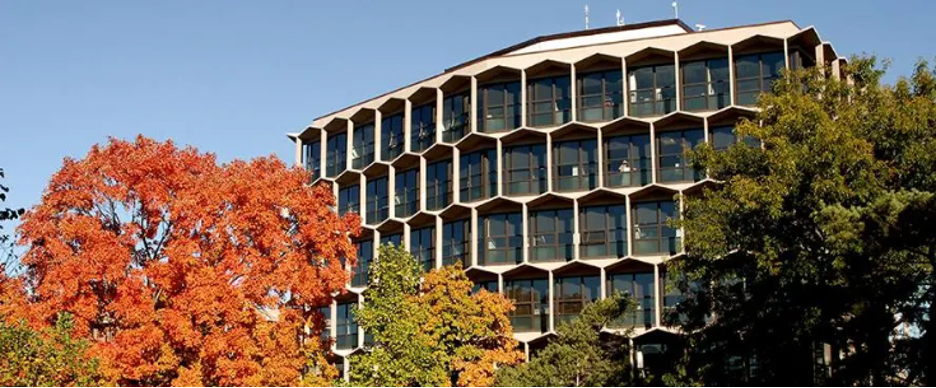 Image for NEIU Case Study