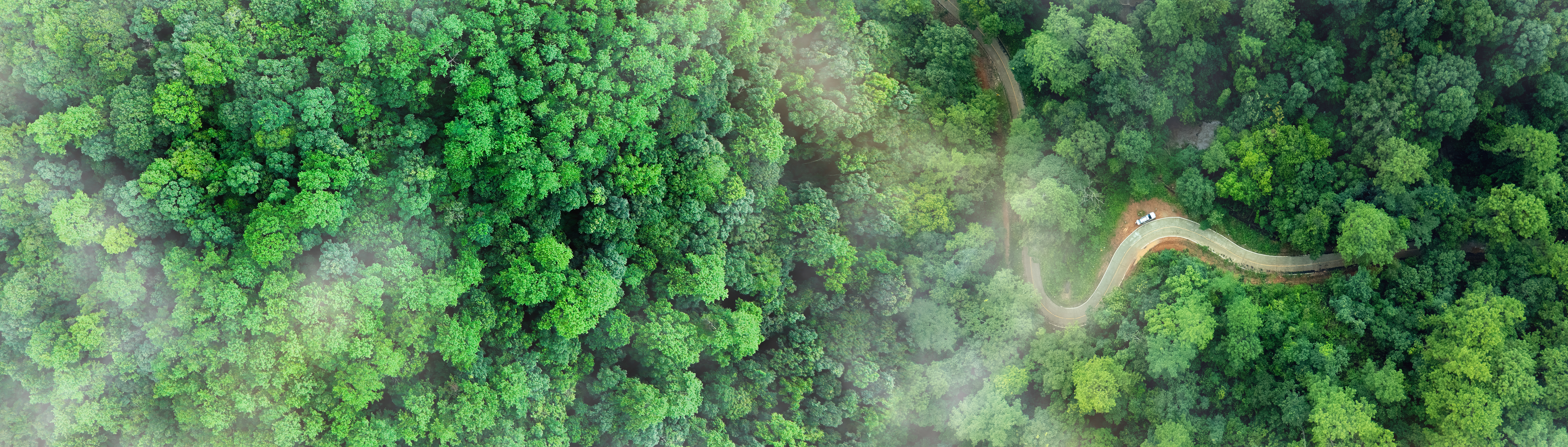 Insight Image - Your ERP Project is Falling Behind